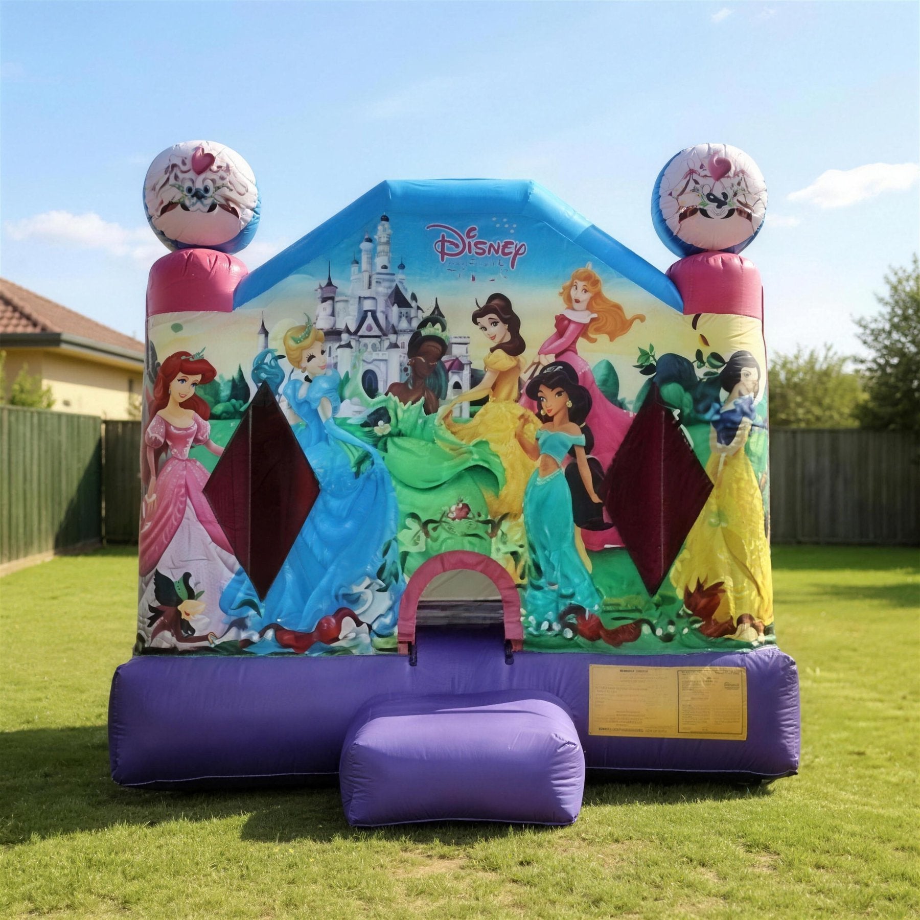 Disney Princess 2 Jumping Castle Hire Central Coast - pulled back view showing true size in a backyard