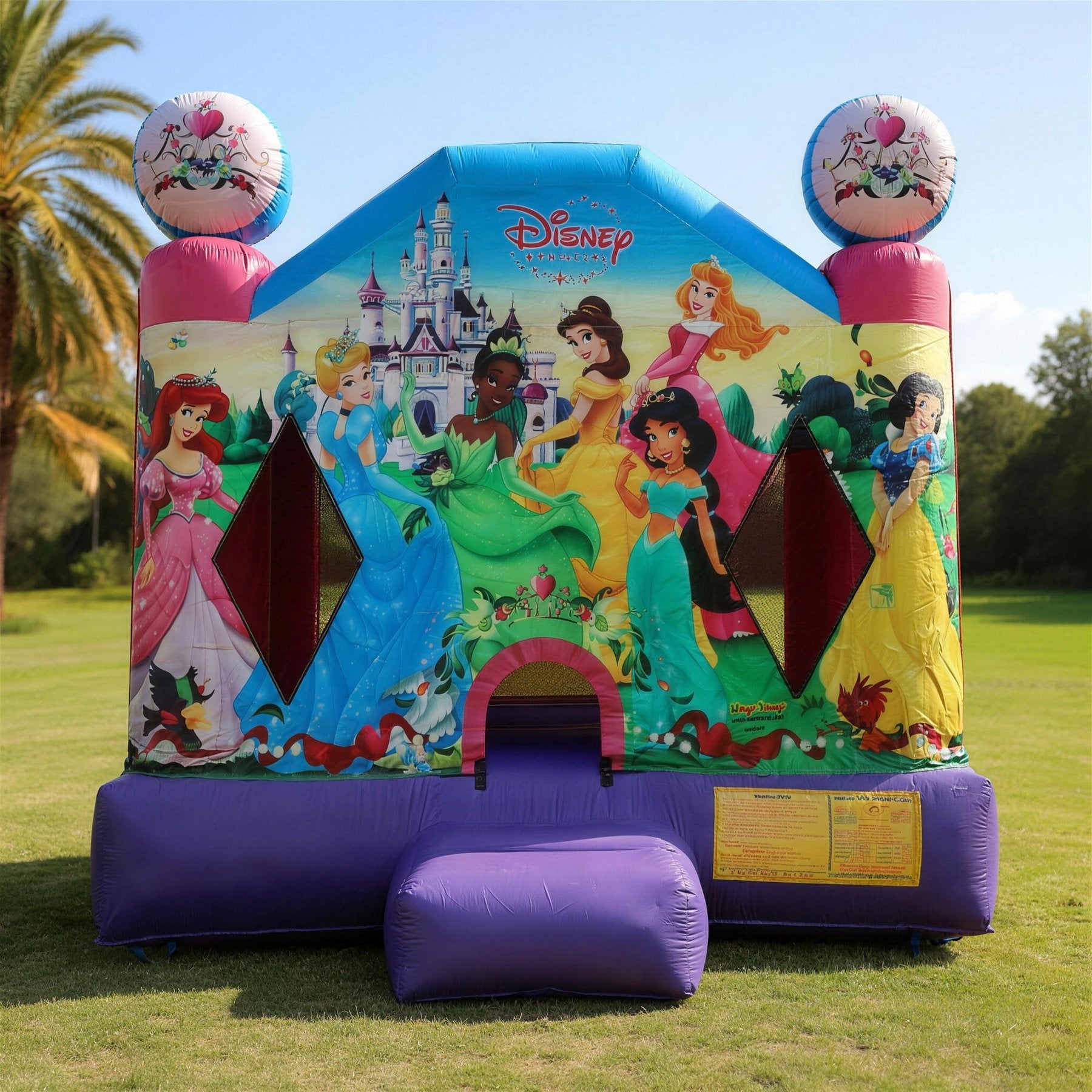 Disney Princess 2 Jumping Castle Hire Central Coast - straight-on front face showing the Disney Princess artwork