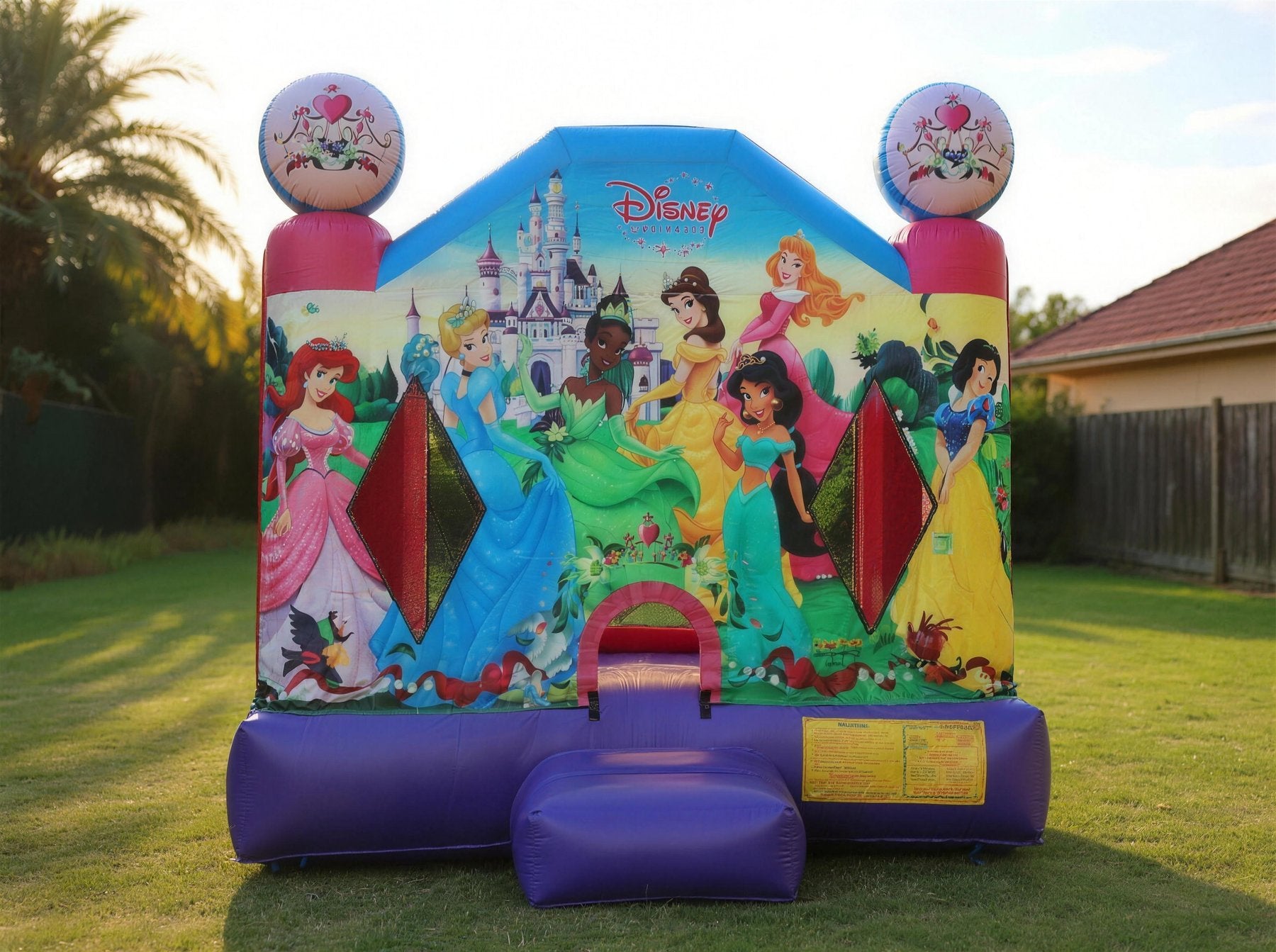 Disney Princess 2 Jumping Castle Hire Central Coast - wide desktop hero view