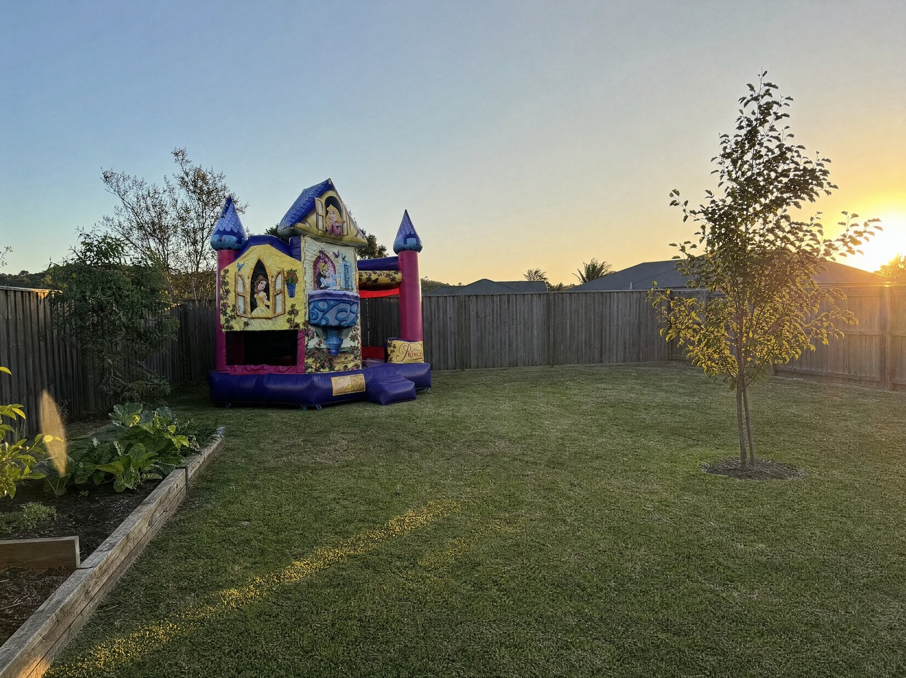 Wide view of a Disney Princess combo castle in a spacious backyard at sunset