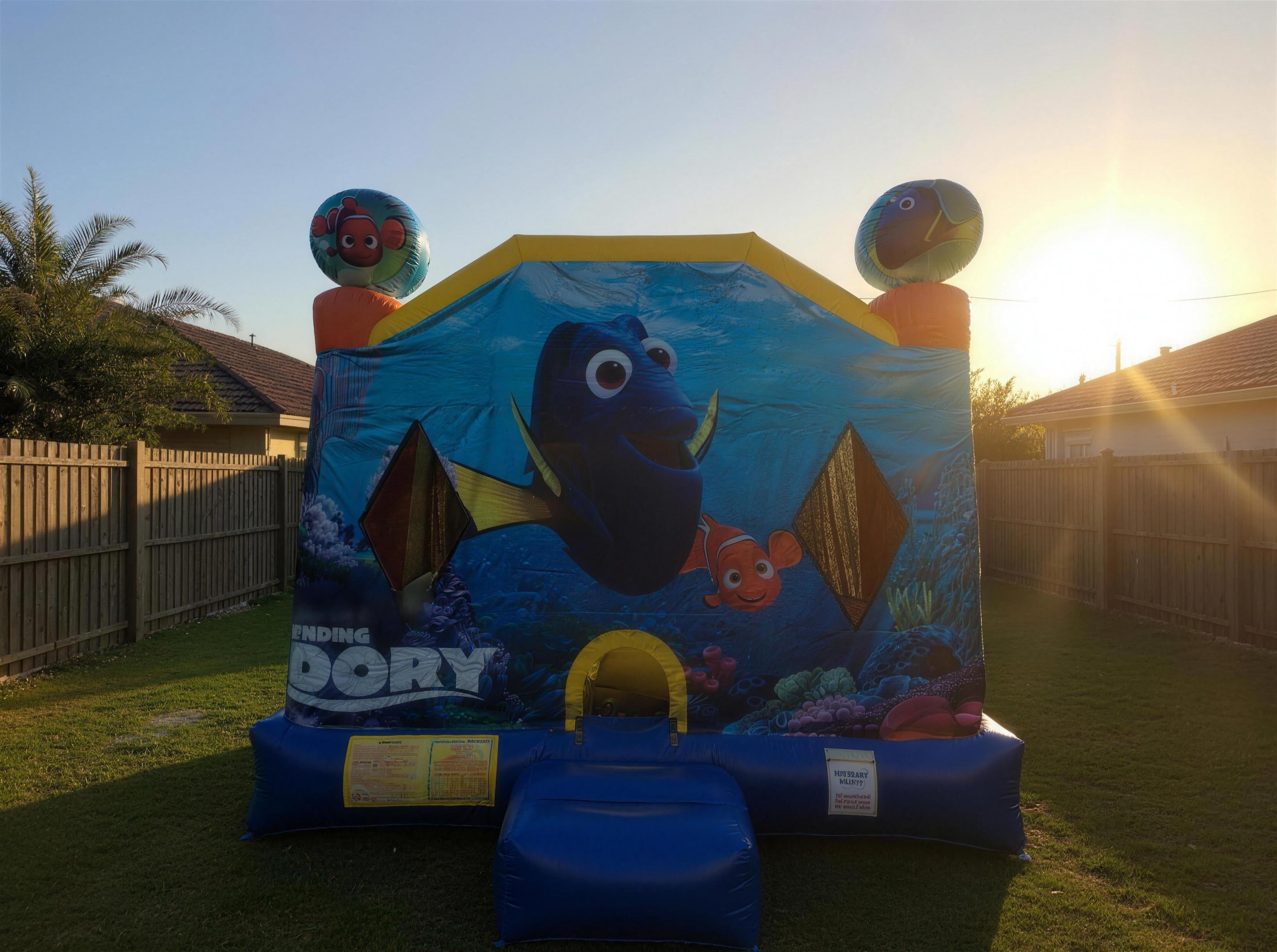 Finding Dory C4 Combo Hire - wide desktop hero view at golden hour