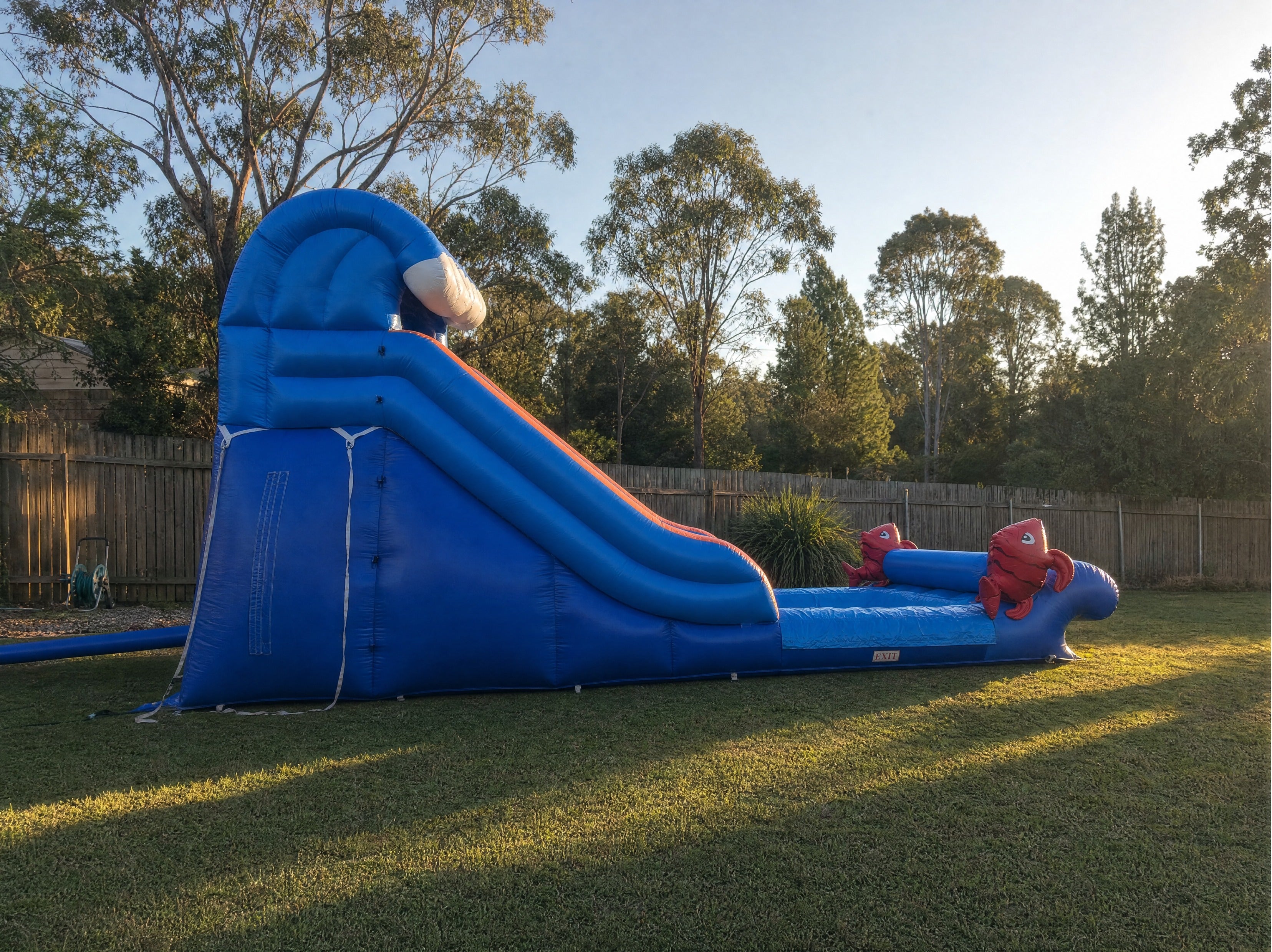 Fish World Water Slide Hire, Central Coast - pulled back backyard scale view