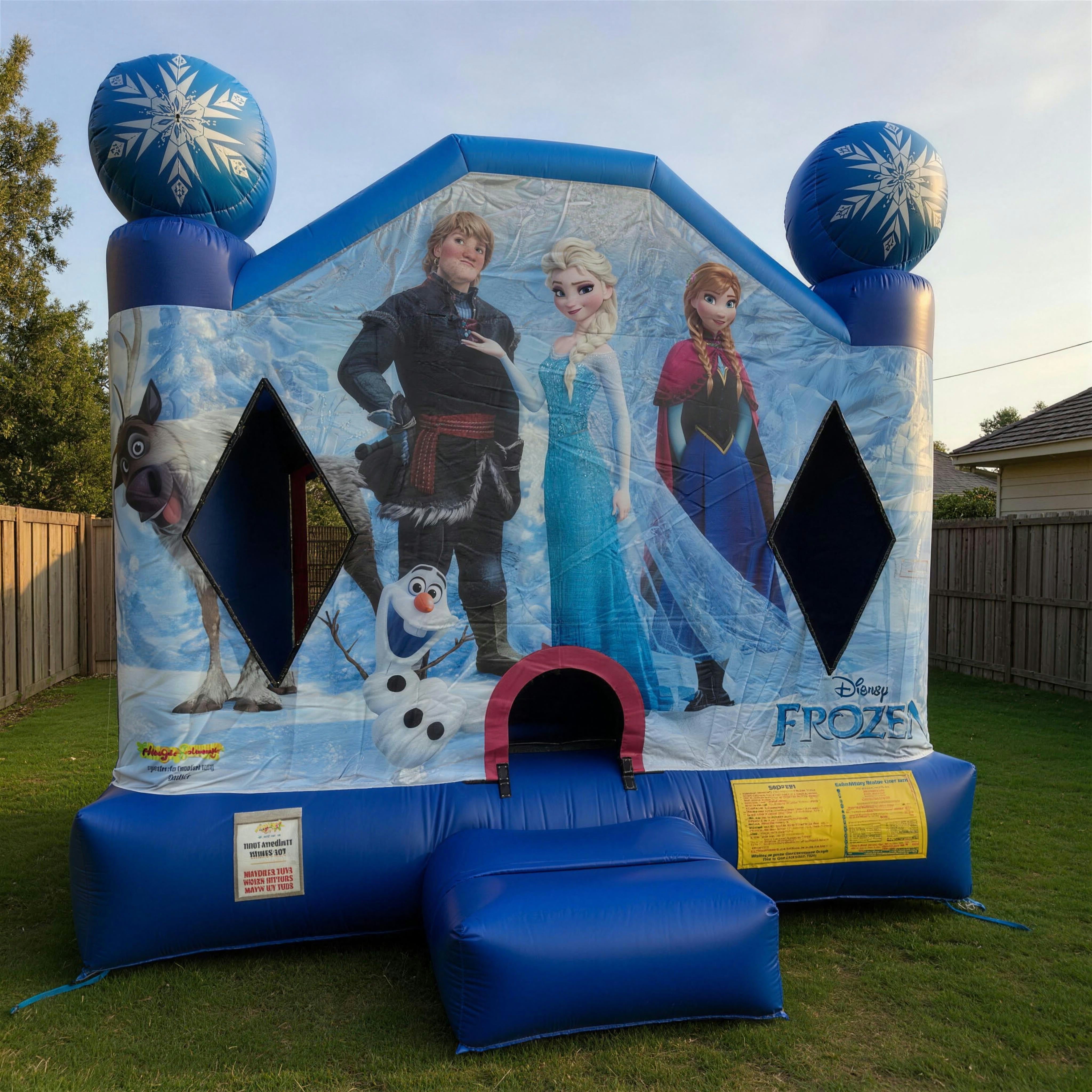 Frozen jumping castle with Elsa, Anna and Olaf artwork in a Central Coast backyard