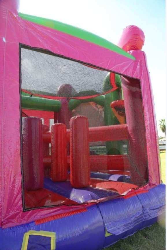 Disney Fairies 5in1 Combo Castle Hire-thumbmail-3