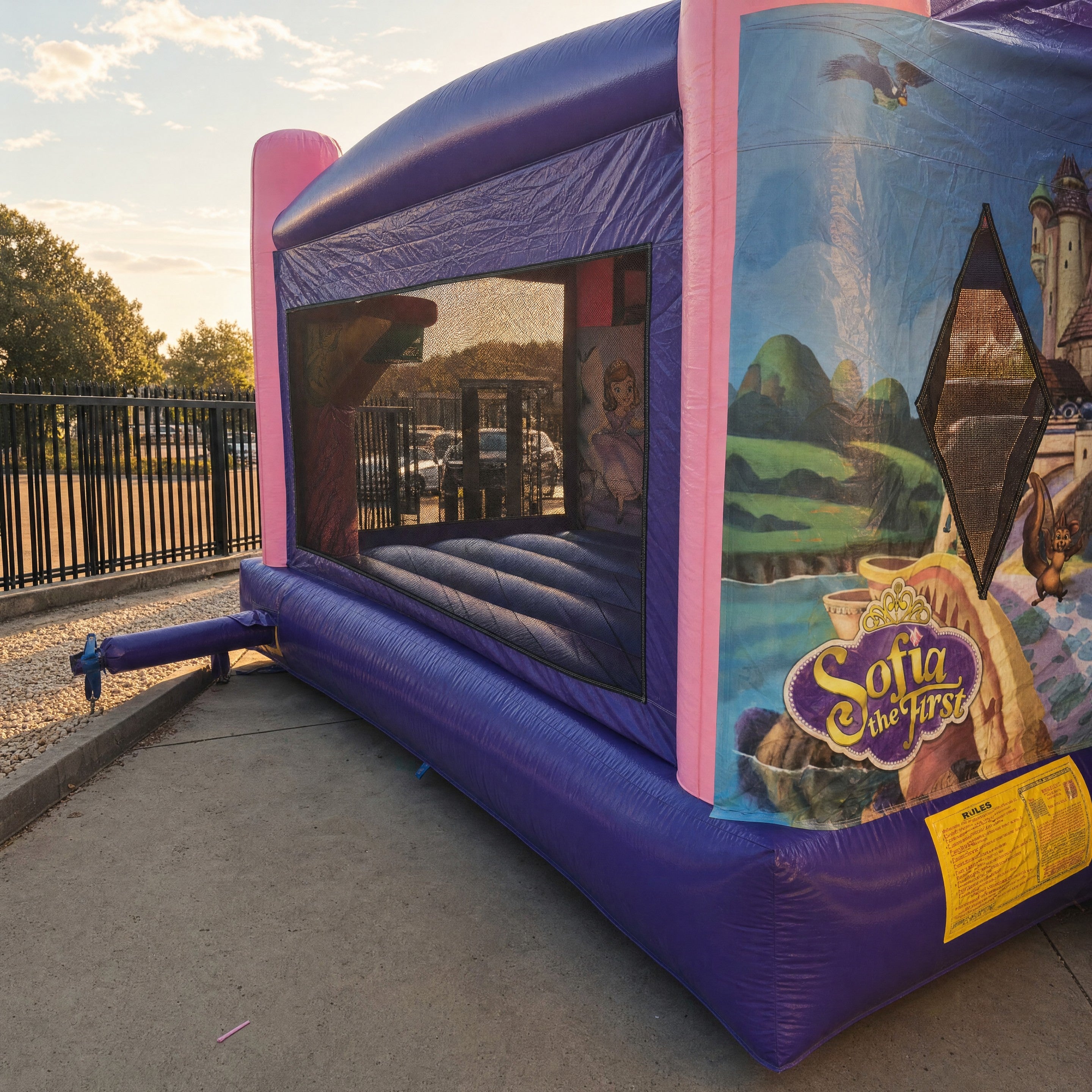 Side view of the Sofia the First jumping castle with entrance mesh window