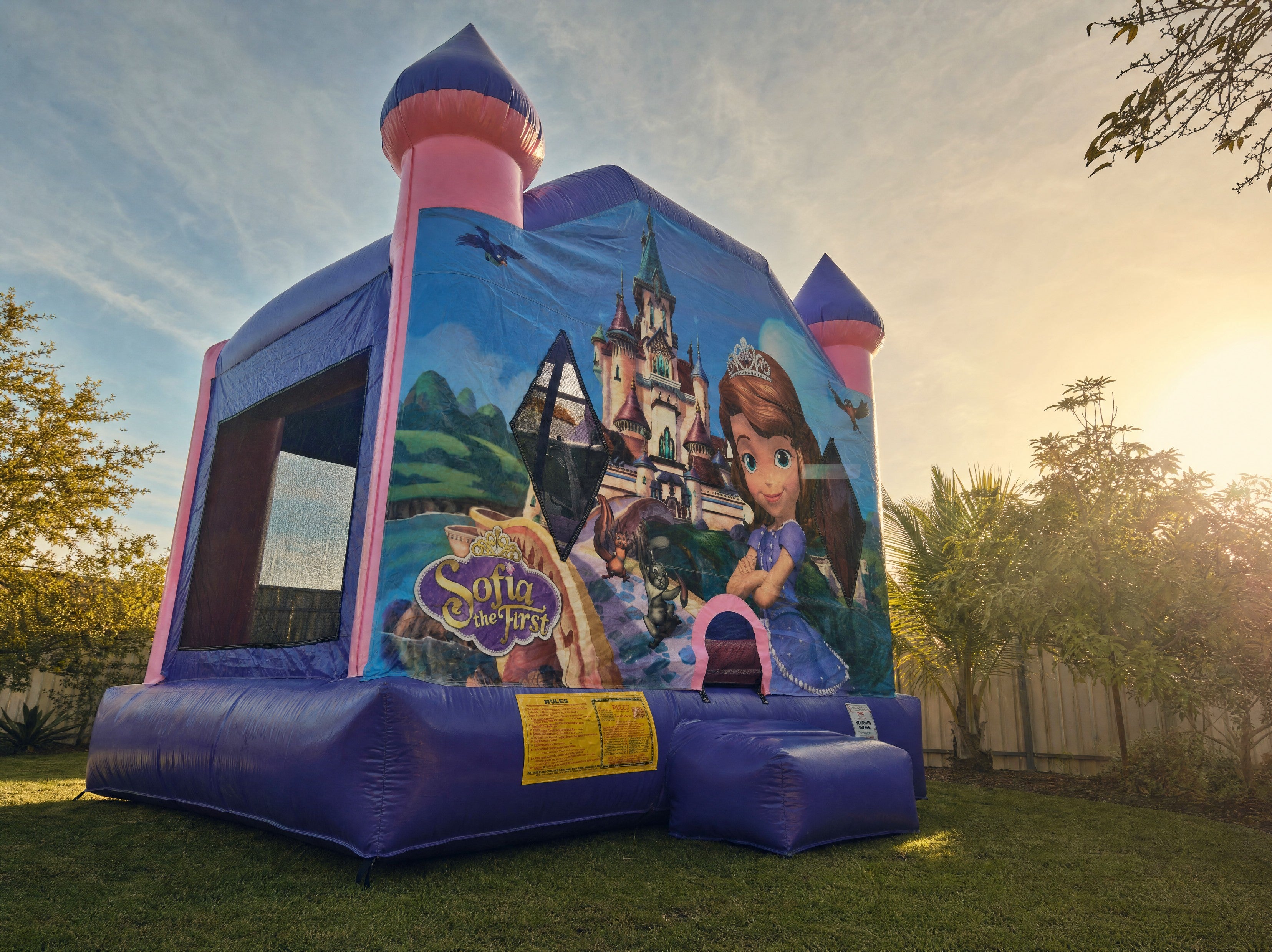 Low angle view of the Sofia the First castle towers against the sky
