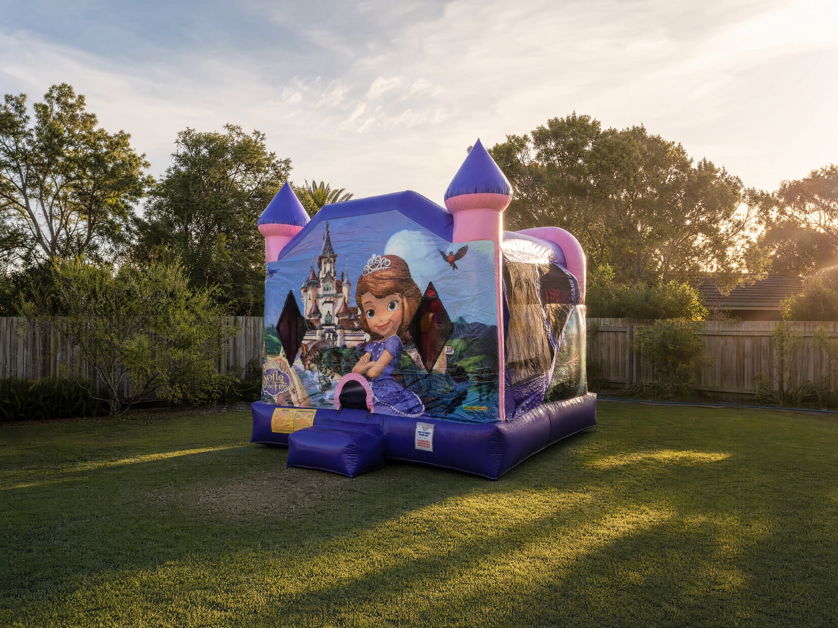 Wide view of the Sofia the First jumping castle in a real backyard