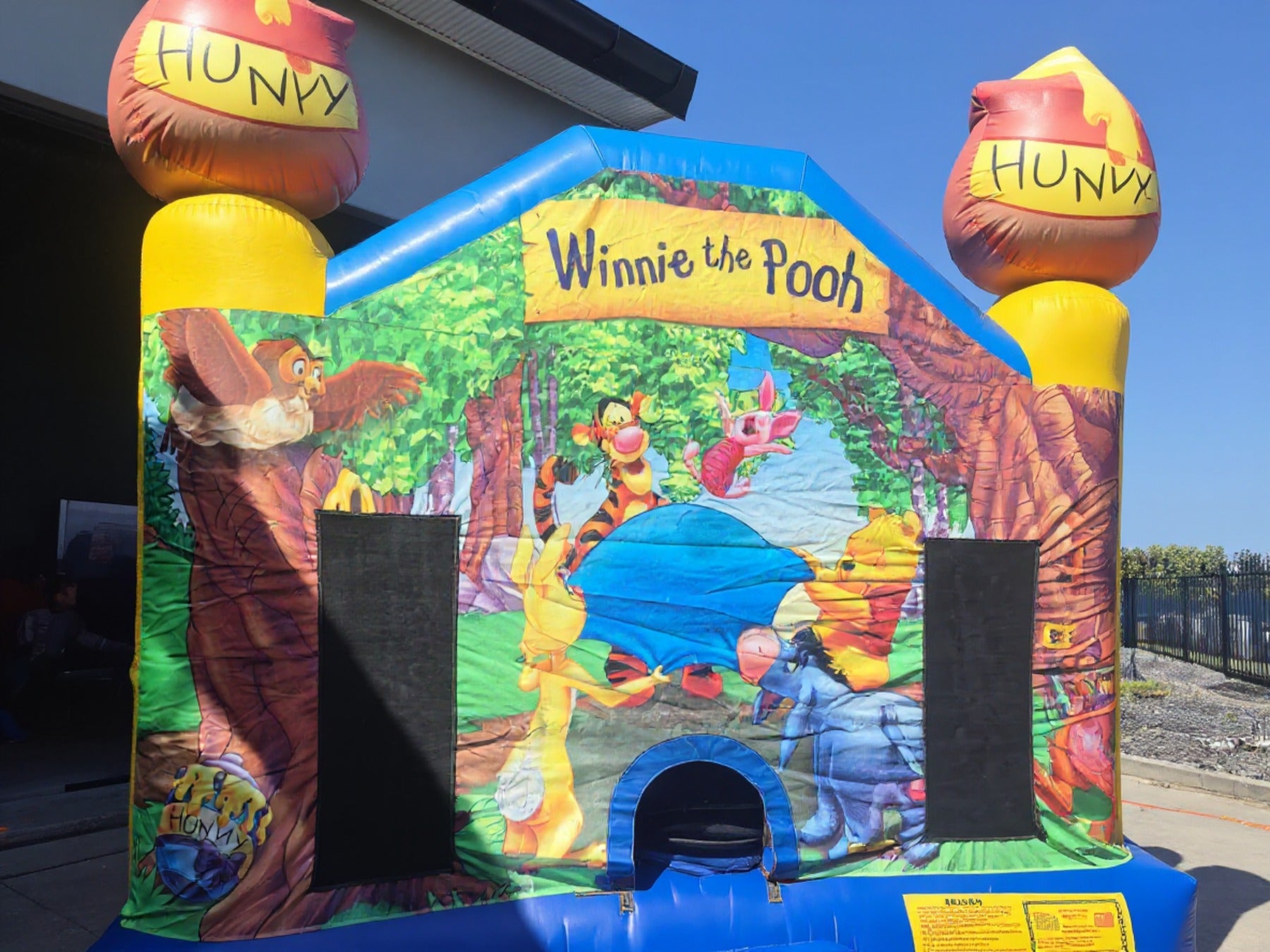 Wide view of the Winnie the Pooh jumping castle in a Central Coast backyard