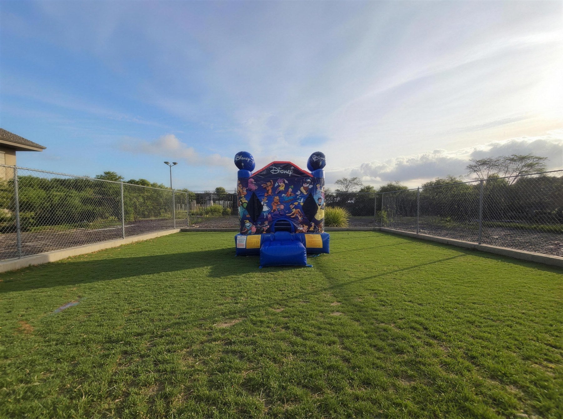 World of Disney jumping castle shown at true size within a fenced Central Coast backyard